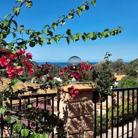 Terra Corsa Duplex T2 Apartamento *