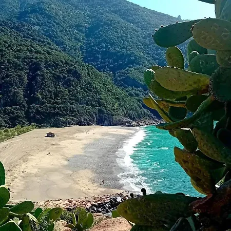 Apartamento Terra Corsa Duplex T2 Porto (Corsica)