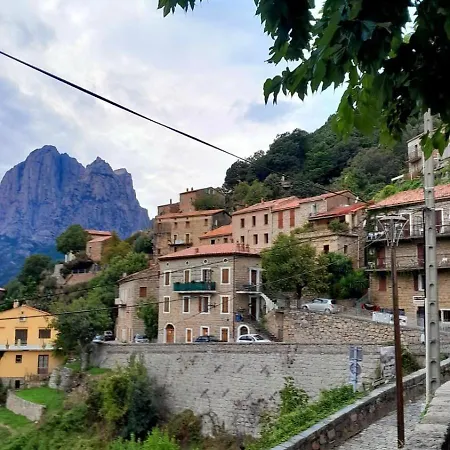 Terra Corsa Duplex T2