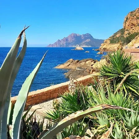 Lägenhet Terra Corsa Duplex T2 Porto (Corsica)
