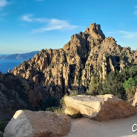 Terra Corsa Duplex T2 *