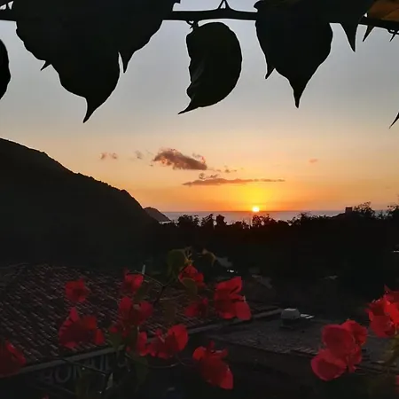 Terra Corsa Duplex T2 *