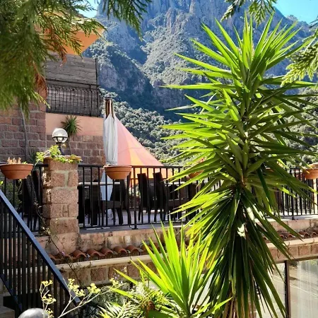 Terra Corsa Duplex T2