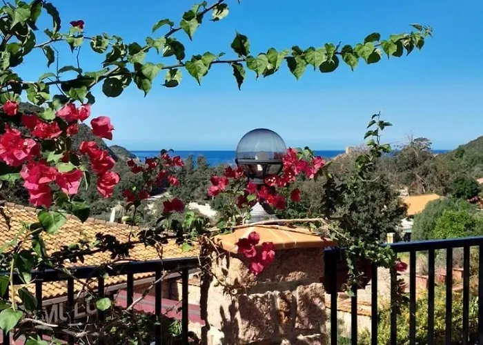 Terra Corsa Duplex T2 דירה *