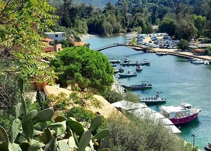 דירה Terra Corsa Duplex T2 *