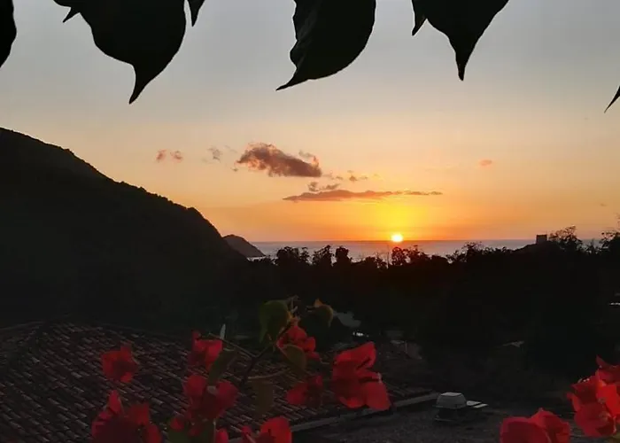 Terra Corsa Duplex T2 *