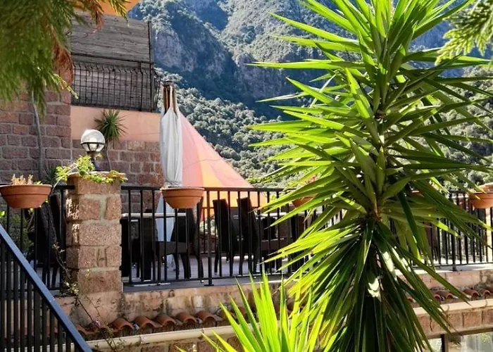 Terra Corsa Duplex T2