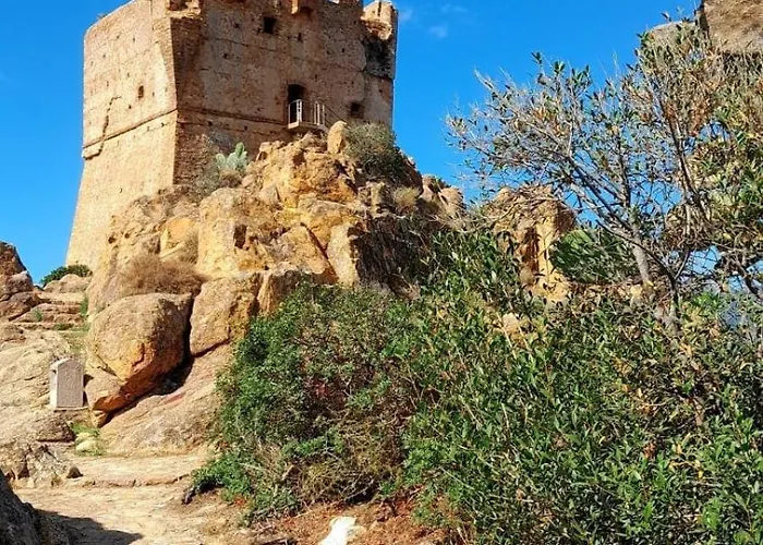 דירה Terra Corsa Duplex T2